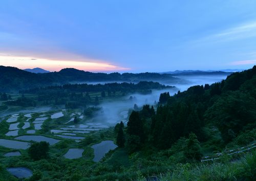 撮影者：遠藤孝雄